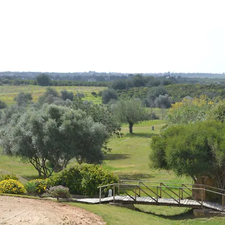Colina
