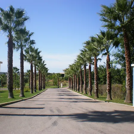 Colina 4* מונקאראפאצ'ו