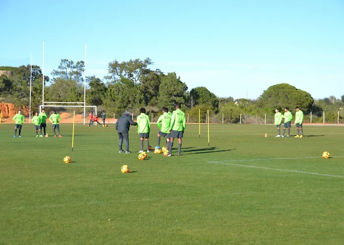 Parque de vacaciones Colina