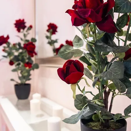 Colina Kompleks wypoczynkowy 4*