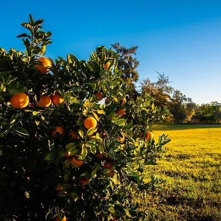 Colina 4* Moncarapacho